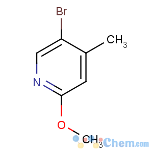 CAS No:164513-39-7 5-bromo-2-methoxy-4-methylpyridine