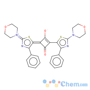 CAS No:164534-27-4 Cyclobutenediylium,1,3-dihydroxy-2,4-bis[2-(4-morpholinyl)-4-phenyl-5-thiazolyl]-, bis(inner salt)(9CI)