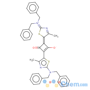CAS No:164534-33-2 Cyclobutenediylium,1,3-bis[2-[2-(phenylmethyl)amino]-4-methyl-5-thiazolyl]-2,4-dihydroxy-,bis(inner salt) (9CI)