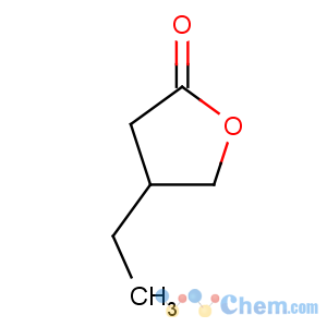 CAS No:16496-51-8 2(3H)-Furanone,4-ethyldihydro-
