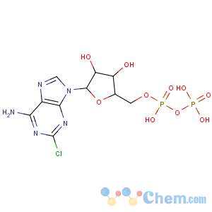 CAS No:16506-88-0 [(2R,3S,4R,5R)-5-(6-amino-2-chloropurin-9-yl)-3,<br />4-dihydroxyoxolan-2-yl]methyl phosphono hydrogen phosphate