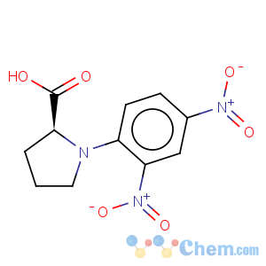 CAS No:1655-55-6 L-Proline,1-(2,4-dinitrophenyl)-