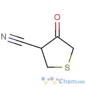 CAS No:16563-14-7 4-oxothiolane-3-carbonitrile