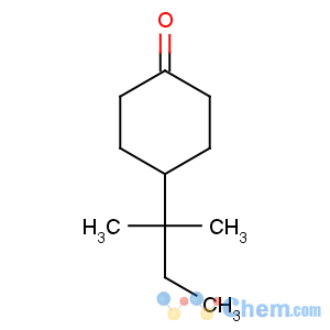 CAS No:16587-71-6 4-(2-methylbutan-2-yl)cyclohexan-1-one