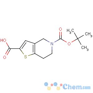 CAS No:165947-48-8 5-[(2-methylpropan-2-yl)oxycarbonyl]-6,7-dihydro-4H-thieno[3,<br />2-c]pyridine-2-carboxylic acid