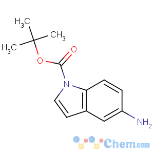 CAS No:166104-20-7 tert-butyl 5-aminoindole-1-carboxylate