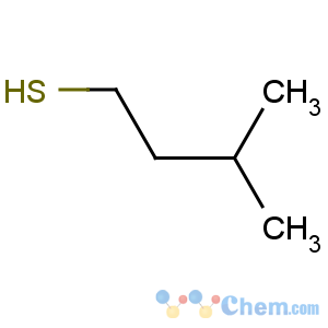 CAS No:16630-56-1 3-methylbutane-1-thiol