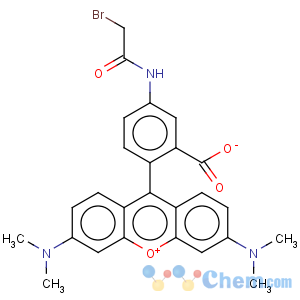 CAS No:166442-38-2 5-[Bromoacetamido]tetramethylrhodamine