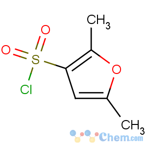 CAS No:166964-26-7 2,5-dimethylfuran-3-sulfonyl chloride