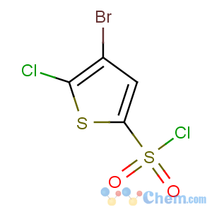 CAS No:166964-35-8 4-bromo-5-chlorothiophene-2-sulfonyl chloride