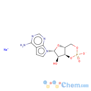 CAS No:16719-36-1 7H-Pyrrolo[2,3-d]pyrimidin-4-amine,7-(3,5-O-phosphinico-b-D-ribofuranosyl)- (9CI)