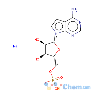 CAS No:16719-46-3 7H-Pyrrolo[2,3-d]pyrimidin-4-amine,7-(5-O-phosphono-b-D-ribofuranosyl)-