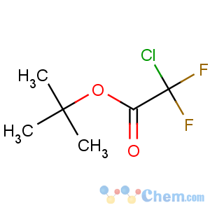 CAS No:167308-43-2 t-Butyl chlorodifluoroacetate