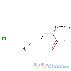 CAS No:16748-29-1 L-Ornithine, N2-methyl-