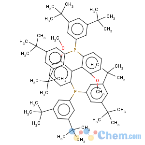 CAS No:167709-31-1 Phosphine,1,1'-[(1S)-6,6'-dimethoxy[1,1'-biphenyl]-2,2'-diyl]bis[1,1-bis[3,5-bis(1,1-dimethylethyl)phenyl]-