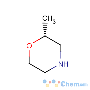 CAS No:168038-14-0 (R)-2-Methylmorpholine hydrochloride