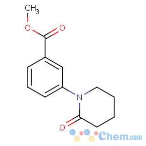 CAS No:168162-28-5 methyl 3-(2-oxopiperidin-1-yl)benzoate