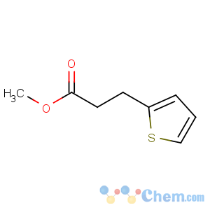 CAS No:16862-05-8 methyl 3-thiophen-2-ylpropanoate