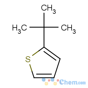 CAS No:1689-78-7 2-tert-butylthiophene