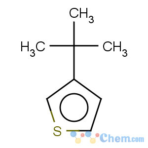 CAS No:1689-79-8 Thiophene,3-(1,1-dimethylethyl)-