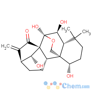 CAS No:16964-56-0 Spiro[cyclohexane-1,4'(3'H)-[1H-7,9a]methanocyclohepta[c]pyran]-2-carboxaldehyde,6-(acetyloxy)hexahydro-5'-hydroxy-3,3-dimethyl-8'-methylene-1',9'-dioxo-,(1S,2R,4'aS,5'S,7'S,9'aS)-