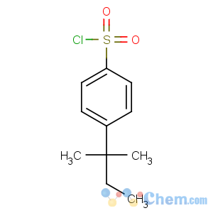 CAS No:169677-20-7 4-(2-methylbutan-2-yl)benzenesulfonyl chloride