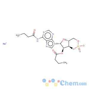 CAS No:16980-89-5 Adenosine,N-(1-oxobutyl)-, cyclic 3',5'-(hydrogen phosphate) 2'-butanoate, sodium salt(1:1)