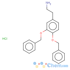 CAS No:1699-56-5 3,4-Dibenzyloxyphenethylamine hydrochloride