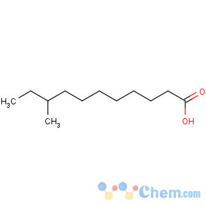 CAS No:17001-17-1 9-methylundecanoic acid