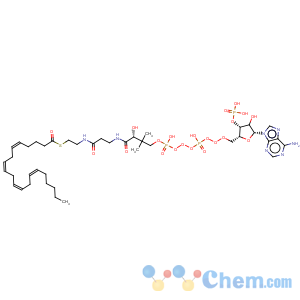 CAS No:17046-56-9 Coenzyme A,S-(5Z,8Z,11Z,14Z)-5,8,11,14-eicosatetraenoate