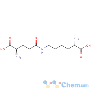 CAS No:17105-15-6 L-Lysine, N6-L-g-glutamyl-