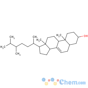 CAS No:17105-75-8 Ergost-7-en-3-ol, (3b,24x)-