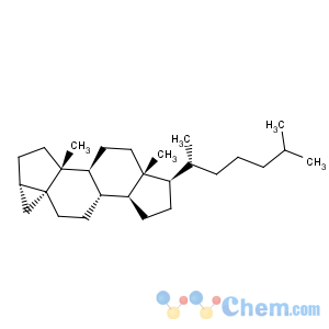 CAS No:17132-01-3 3,5-Cyclocholestane, (3a,5S)- (9CI)