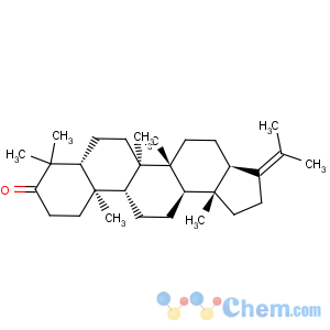 CAS No:17152-56-6 A'-Neogammacer-21-en-3-one(8CI,9CI)