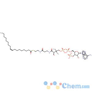 CAS No:1716-06-9 Coenzyme A,S-(9Z)-9-octadecenoate