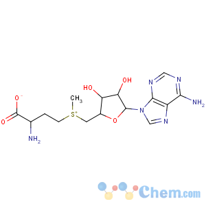 CAS No:17176-17-9 2-amino-4-[[(2S,3S,4R,5R)-5-(6-aminopurin-9-yl)-3,<br />4-dihydroxyoxolan-2-yl]methyl-methylsulfonio]butanoate