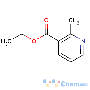 CAS No:1721-26-2 ethyl 2-methylpyridine-3-carboxylate