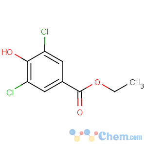 CAS No:17302-82-8 ethyl 3,5-dichloro-4-hydroxybenzoate