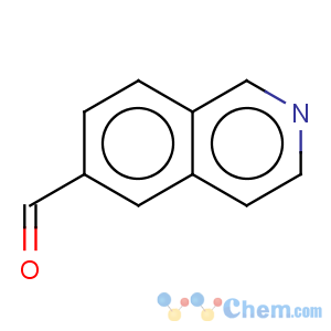CAS No:173089-81-1 6-Isoquinolinecarboxaldehyde