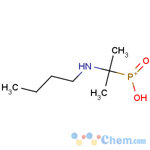 CAS No:17316-67-5 2-(butylamino)propan-2-yl-hydroxy-oxophosphanium