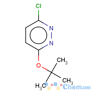 CAS No:17321-24-3 Pyridazine,3-chloro-6-(1,1-dimethylethoxy)-