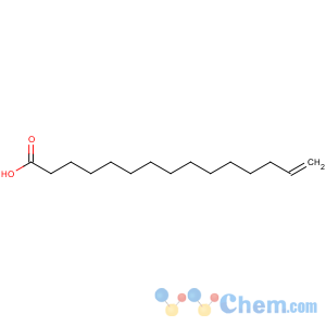 CAS No:17351-34-7 14-Pentadecenoic acid