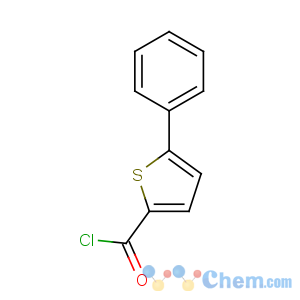 CAS No:17361-89-6 5-phenylthiophene-2-carbonyl chloride