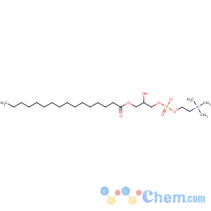 CAS No:17364-16-8 [(2R)-3-hexadecanoyloxy-2-hydroxypropyl] 2-(trimethylazaniumyl)ethyl<br />phosphate