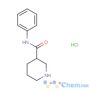 CAS No:173987-10-5 N-phenylpiperidine-3-carboxamide
