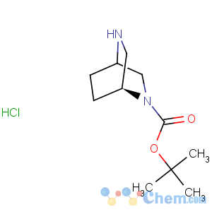 CAS No:174823-32-6 (1s)-2,5-diazabicyclo[2.2.2]octane-2-carboxylic acid 1,1-dimethylethyl ester . hcl
