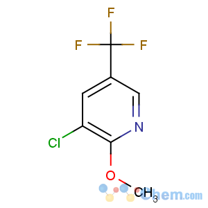 CAS No:175136-17-1 3-chloro-2-methoxy-5-(trifluoromethyl)pyridine