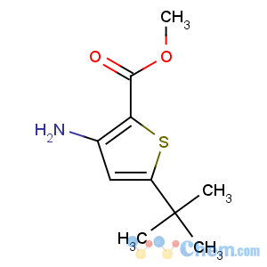 CAS No:175137-03-8 methyl 3-amino-5-tert-butylthiophene-2-carboxylate