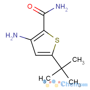 CAS No:175137-04-9 3-amino-5-tert-butylthiophene-2-carboxamide