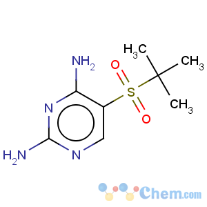 CAS No:175202-17-2 2,4-Pyrimidinediamine,5-[(1,1-dimethylethyl)sulfonyl]-